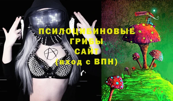 соль ск Алзамай