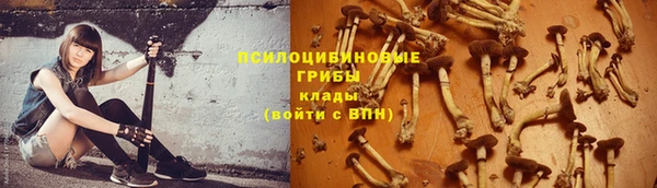 стафф Пересвет