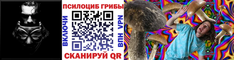 Галлюциногенные грибы Magic Shrooms  Агидель 